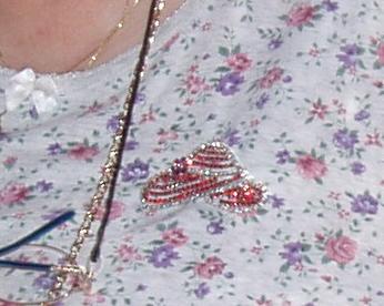 {short description of image}